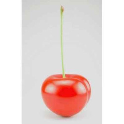 Sur Ambiance-Plaisir.com, achetez  Cerise rouge ginja 21 cm cores da terra -3059 dans Décoration