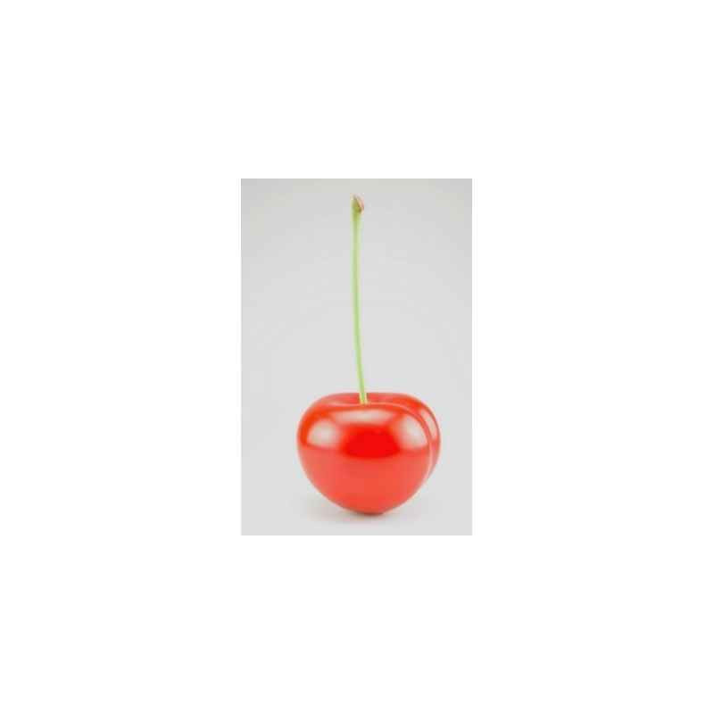 Cerise rouge ginja 21 cm cores da terra  -3059