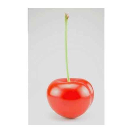 Cerise rouge ginja 21 cm cores da terra  -3059