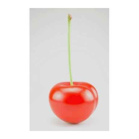 Sur Ambiance-Plaisir.com, achetez  Cerise rouge ginja 21 cm cores da terra -3059 dans Décoration