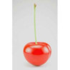 Sur Ambiance-Plaisir.com, achetez  Cerise rouge ginja 21 cm cores da terra -3059 dans Décoration