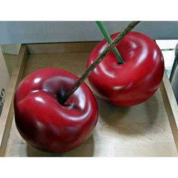 Sur Ambiance-Plaisir.com, achetez  Cerise noire lisa 21 cm cores da terra -3058 dans Décoration