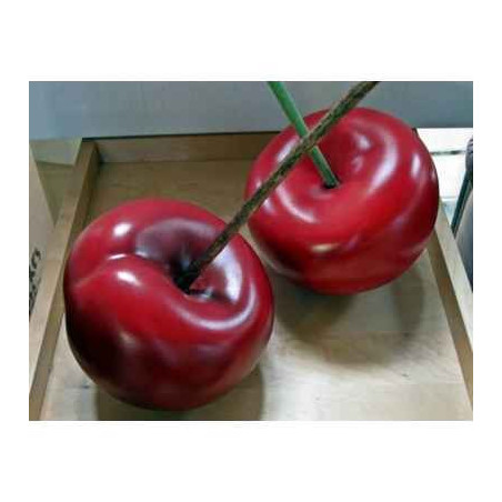 Sur Ambiance-Plaisir.com, achetez  Cerise noire lisa 21 cm cores da terra -3058 dans Décoration
