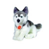 Peluche Hermann Teddy peluche husky assis 29 cm  sur Ambiance Plaisir