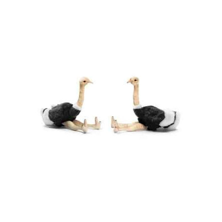 Peluche autruche souple (x2) 17cmh anima -3627 sur Ambiance Plaisir