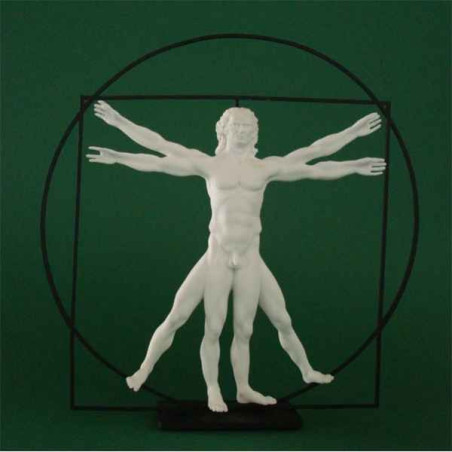 Figurine art mouseion da vinci l'homme de vitruve  dav01 3dMouseion
