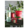 Tour de Table -Vaporisateur senteur Chemin des Lauriers sur Ambiance Plaisir