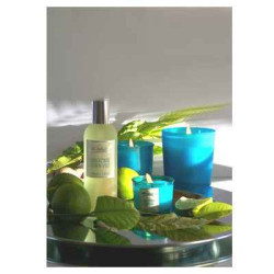 Tour de Table -Vaporisateur senteur Gingembre Citron Vert sur Ambiance Plaisir