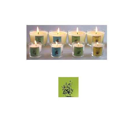 Tour de Table -Bougie senteur Menthe sur Ambiance Plaisir