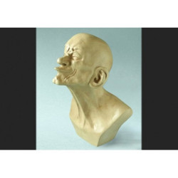 Miniateure messerschmidt, miniature tête à bec 3dMouseion -PA26ME