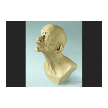 Miniateure messerschmidt, miniature tête à bec 3dMouseion -PA26ME
