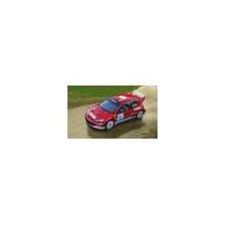 Maquette peugeot 206 wrc heller -80113 sur Ambiance Plaisir