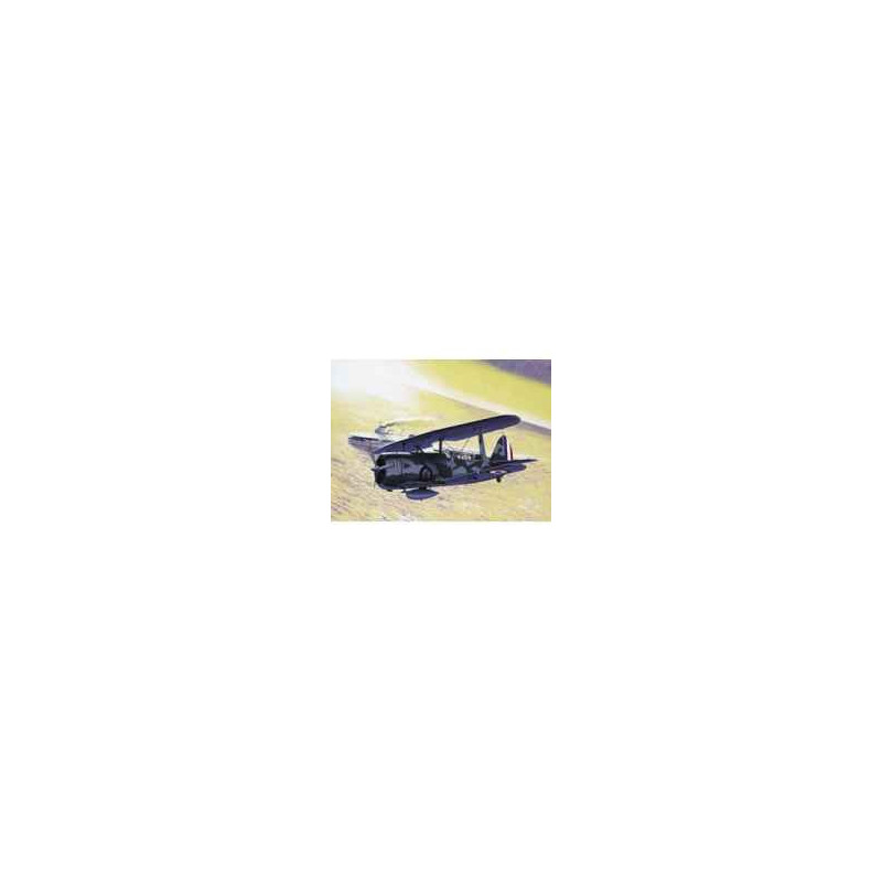 Maquette helldiver heller -80285 sur Ambiance Plaisir