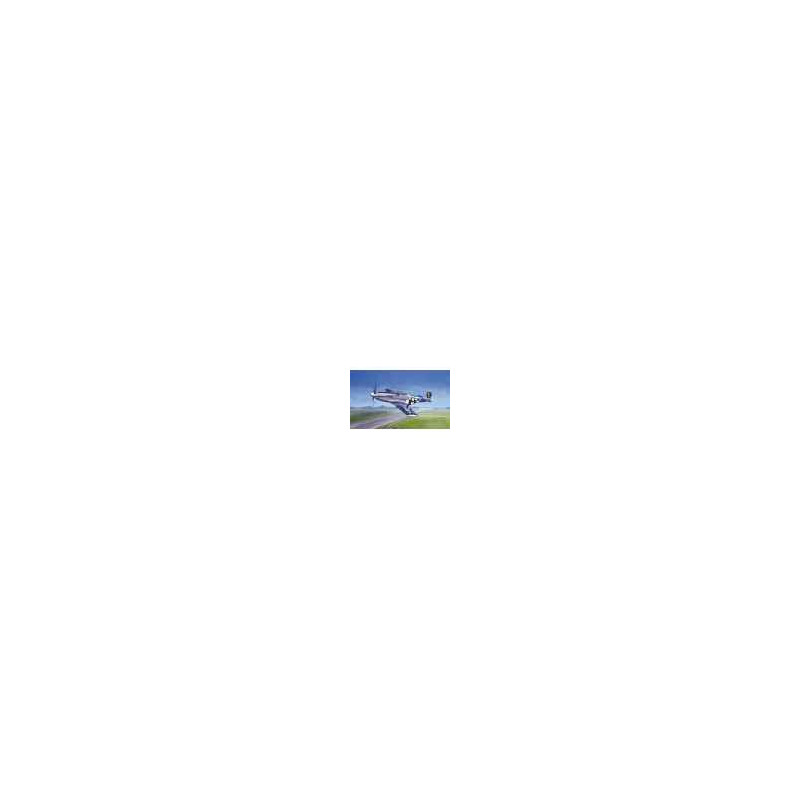 Maquette p-51 mustang         heller -80268 sur Ambiance Plaisir