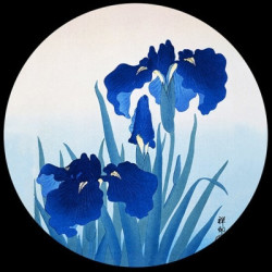 Presse -papiers verre d'après l'oeuvre de koson, iris 3dMouseion -PKOS3