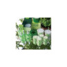 Diffuseur Tour de Table Matin Jardin - 0621 sur Ambiance Plaisir