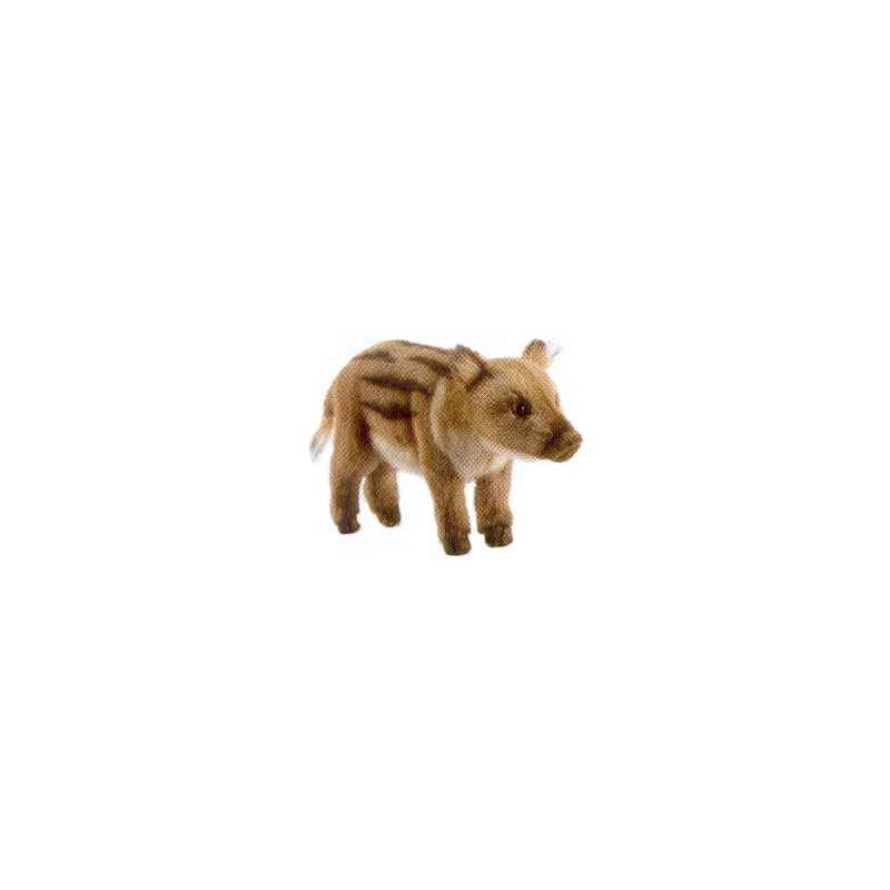 Animaux de la forêt Marcassin - Animaux 4853