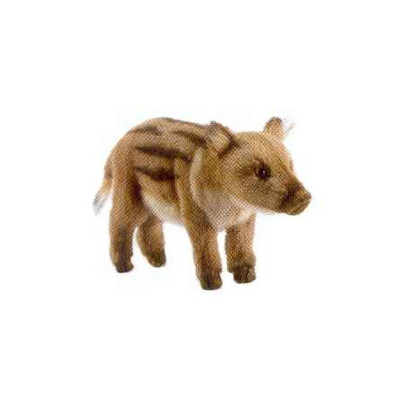 Animaux de la forêt Marcassin - Animaux 4853