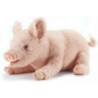 Animaux de la ferme Cochon couché - Animaux 4944