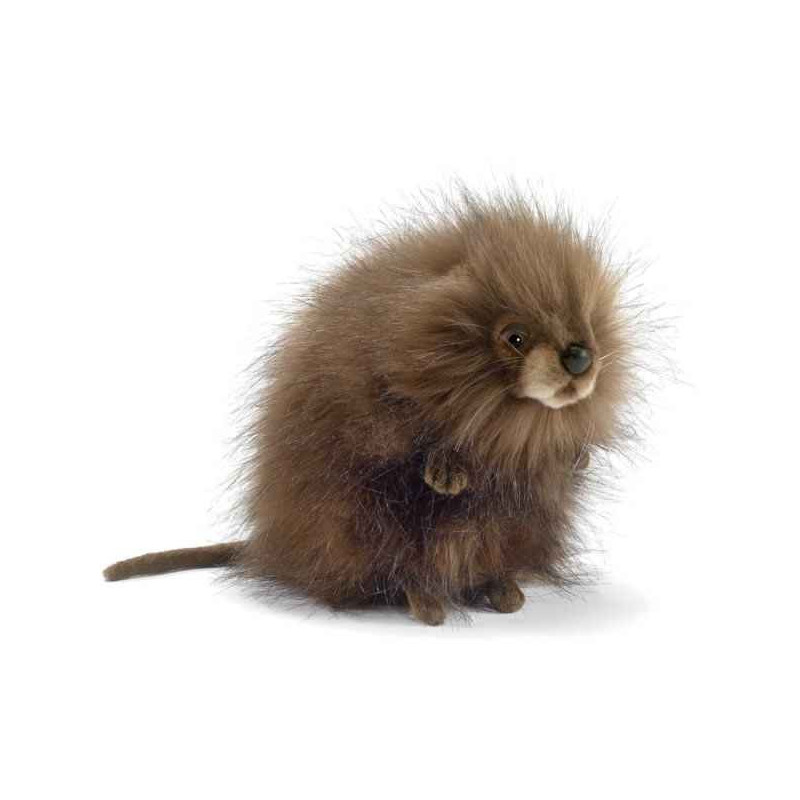 Animaux de la forêt Rat musqué - Animaux 5201