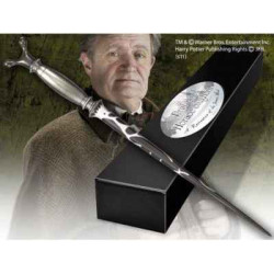 Baguette du professeur horace slughorn -Harry Potter Collection -NN8294 sur Ambiance Plaisir