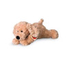 Peluche chien couché beige 28 cm Hermann  sur Ambiance Plaisir