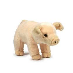 Peluche anna club plush cochon - 23 cm ACP -28174002