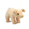 Peluche anna club plush cochon - 23 cm ACP -28174002