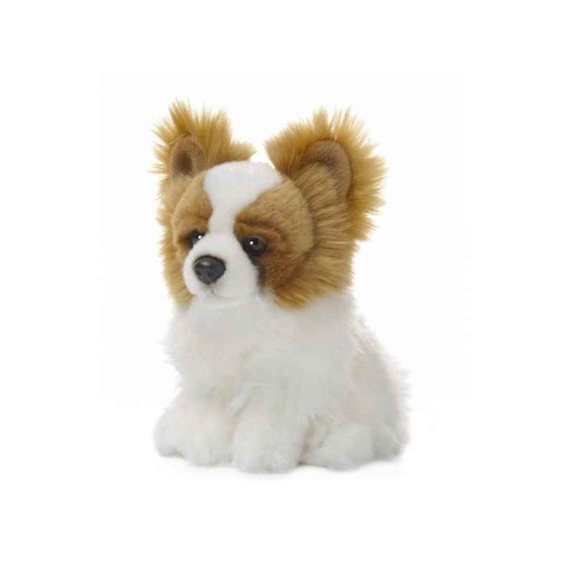 Peluche Chien papillon 19 cm ACP -23177017