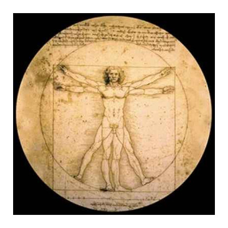Presse papier da vinci 3dMouseion -PDAV1