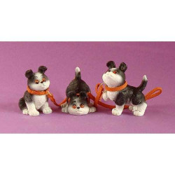 Rufus rufus, les tout petits ruf10 sur Ambiance Plaisir