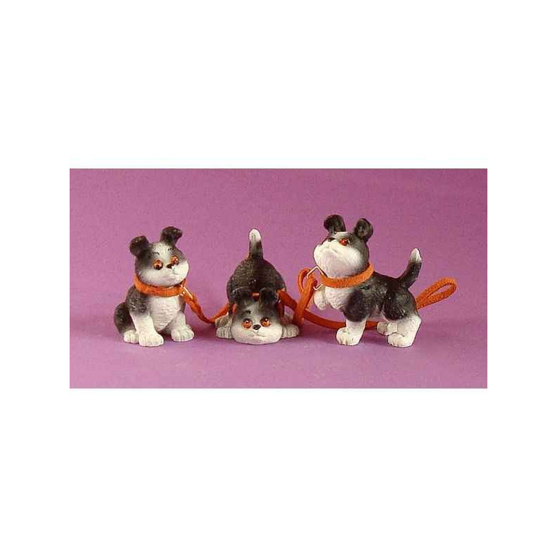 Rufus rufus, les tout petits ruf10 sur Ambiance Plaisir