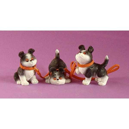 Rufus rufus, les tout petits ruf10 sur Ambiance Plaisir