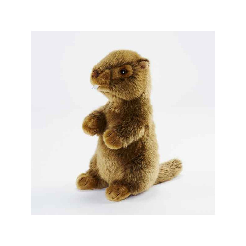 Animaux de la forêt Marmotte 25cm peluche animalière -1662