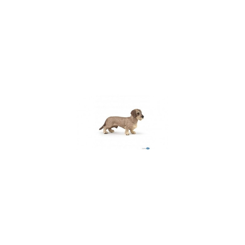 Remise immédiate sur Figurine teckel Papo -54043 dans JouetsFigurine teckel Papo -54043
