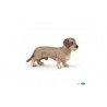 Remise immédiate sur Figurine teckel Papo -54043 dans JouetsFigurine teckel Papo -54043