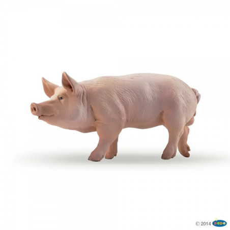 Remise immédiate sur Figurine Verrat Papo -51044 dans JouetsFigurine Verrat Papo -51044