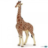 Remise immédiate sur Figurine Girafe mâle Papo -50149 dans Jouets