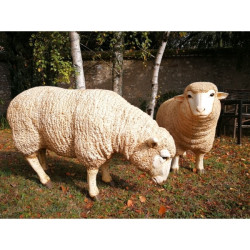 Mouton Tête basse TA011B sur Ambiance Plaisir