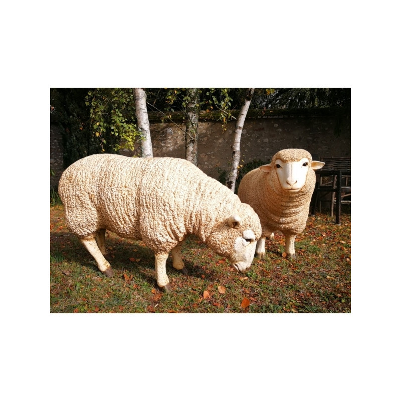 Mouton Tête basse TA011B sur Ambiance Plaisir