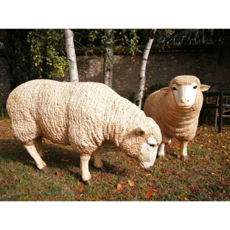Mouton Tête basse TA011B sur Ambiance Plaisir