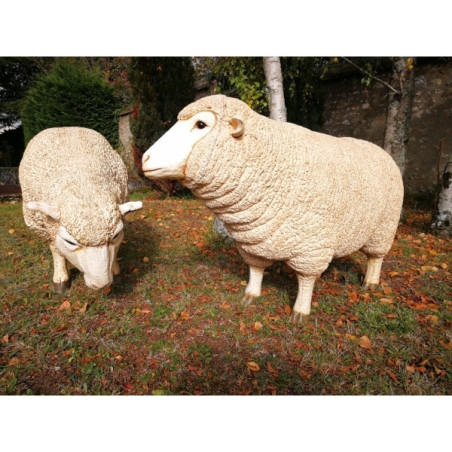 Brebis Tête haute TA012B sur Ambiance Plaisir