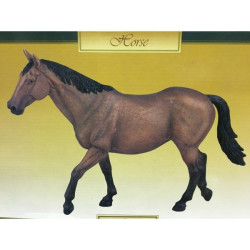 Cheval pur sang brun clair LP14268 sur Ambiance Plaisir