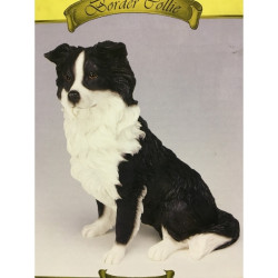 Chien Border collie assis LP2741 sur Ambiance Plaisir