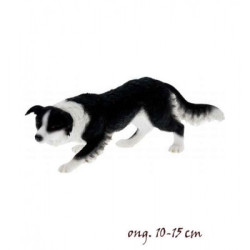 Chien Border collie LP14277 sur Ambiance Plaisir