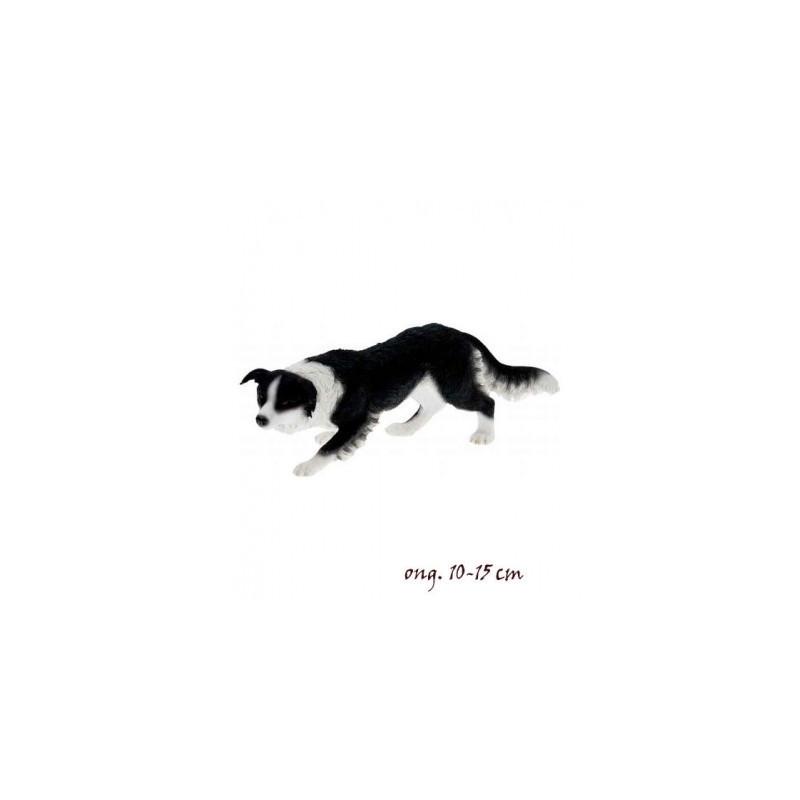 Chien Border collie LP14277 sur Ambiance Plaisir