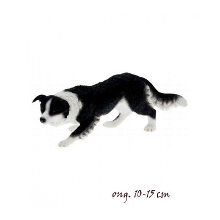 Chien Border collie LP14277 sur Ambiance Plaisir