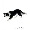 Chien Border collie LP14277