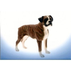 Chien Boxer foncé LP4154 sur Ambiance Plaisir