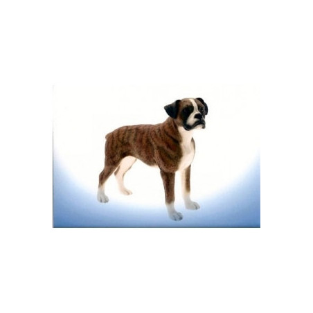 Chien Boxer foncé LP4154 sur Ambiance Plaisir